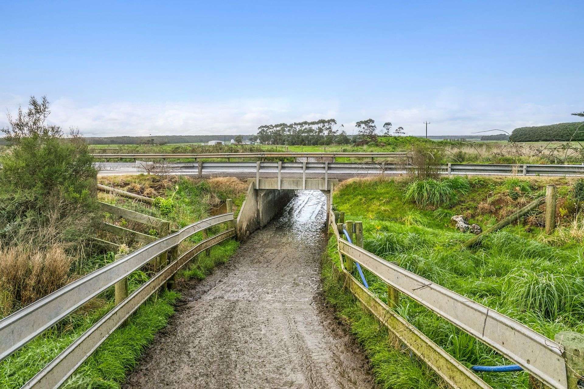 801 Timboon-Colac Road, Jancourt East For Sale by Farmbuy.com - image 12