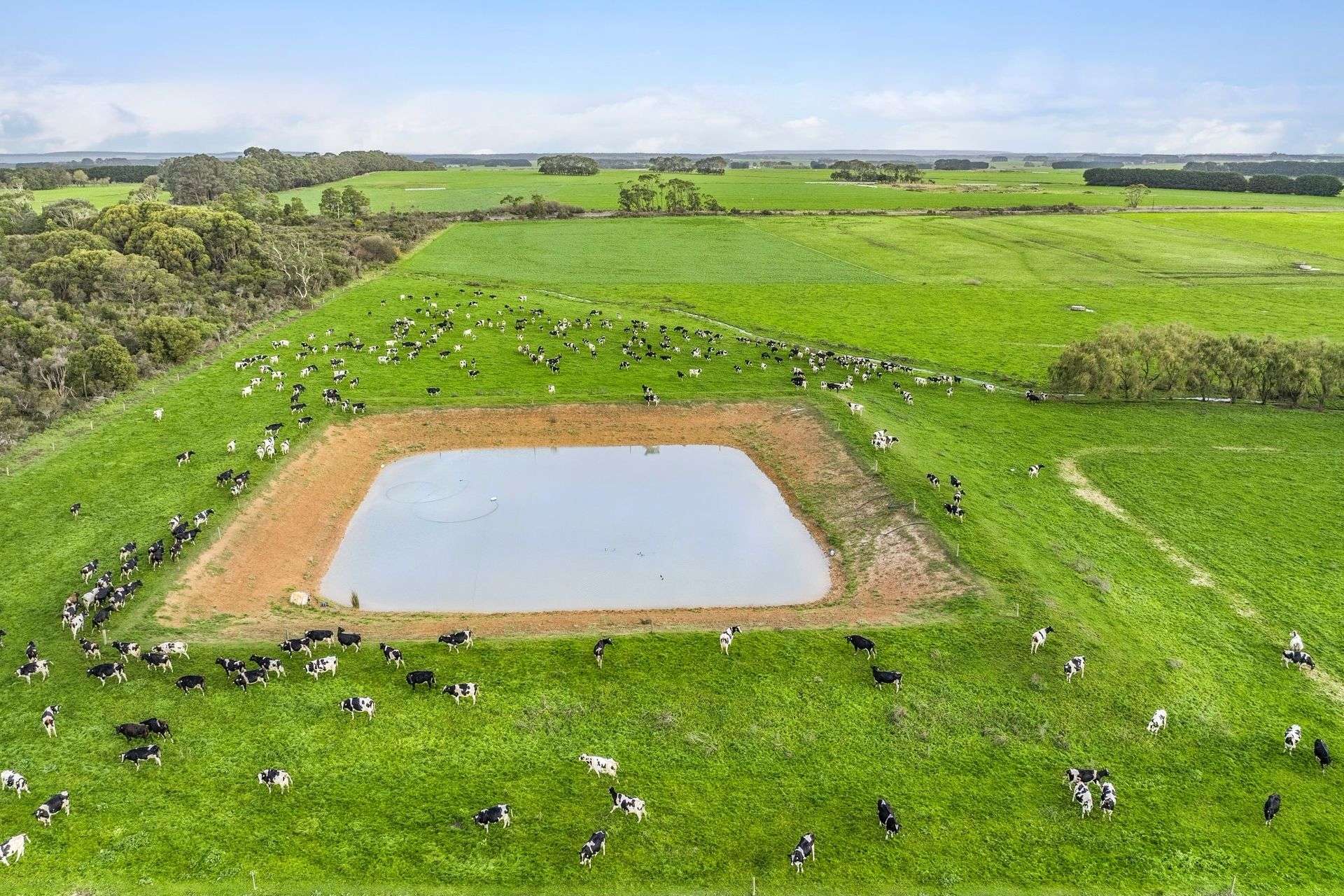 801 Timboon-Colac Road, Jancourt East For Sale by Farmbuy.com - image 15