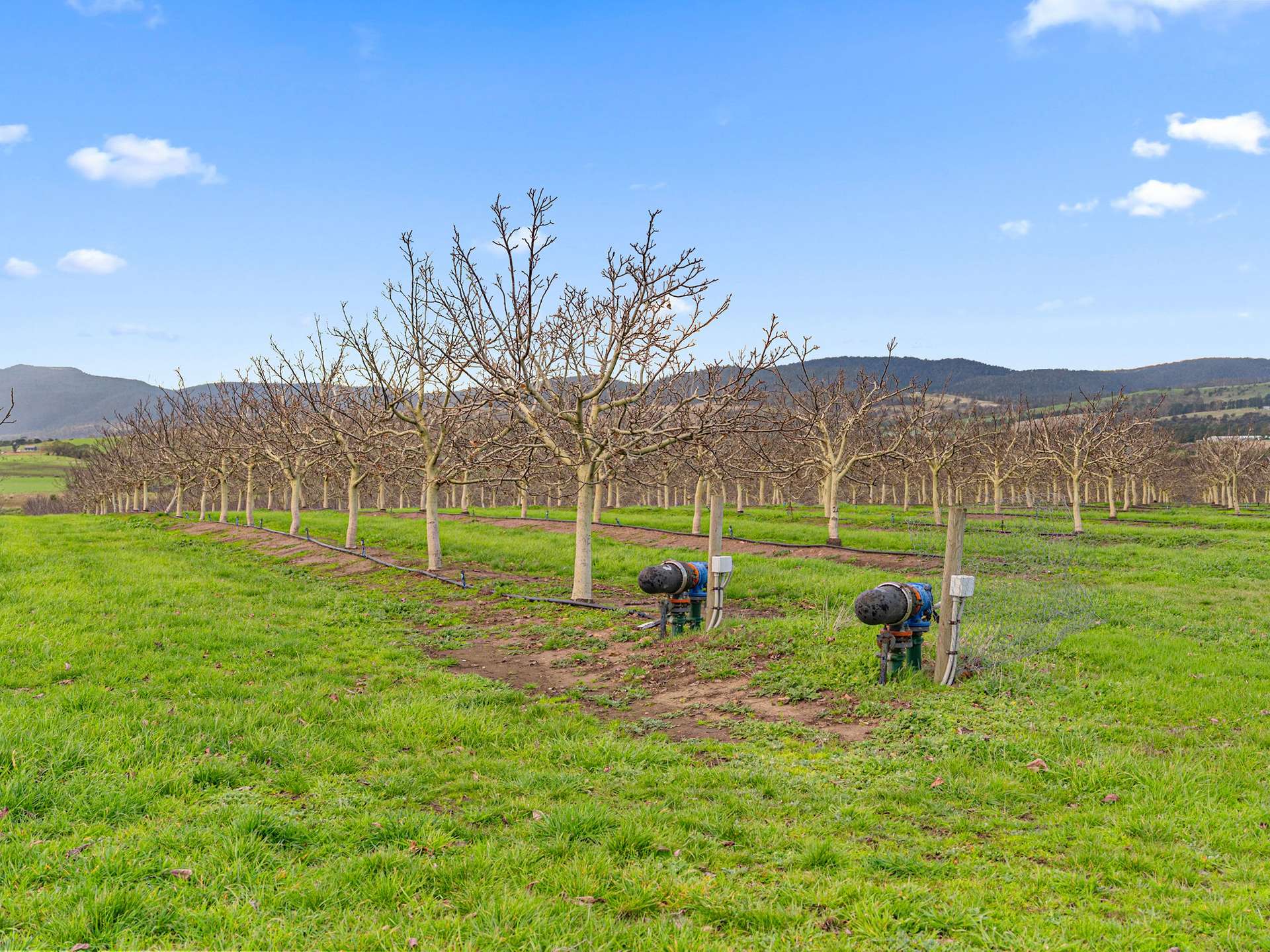 596 Colebrook Road, Campania For Sale by Farmbuy.com - image 21