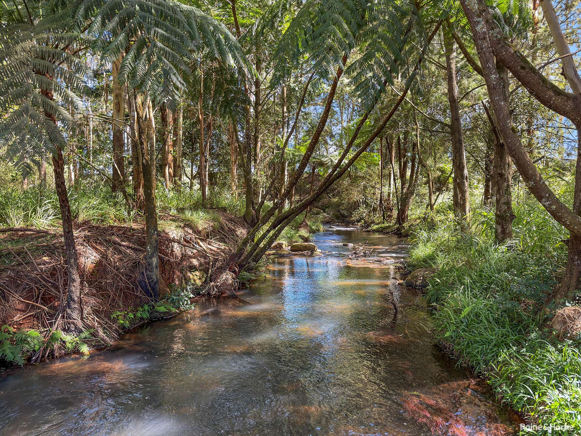 13123 Kennedy Highway, Ravenshoe For Sale by Farmbuy.com - image 34