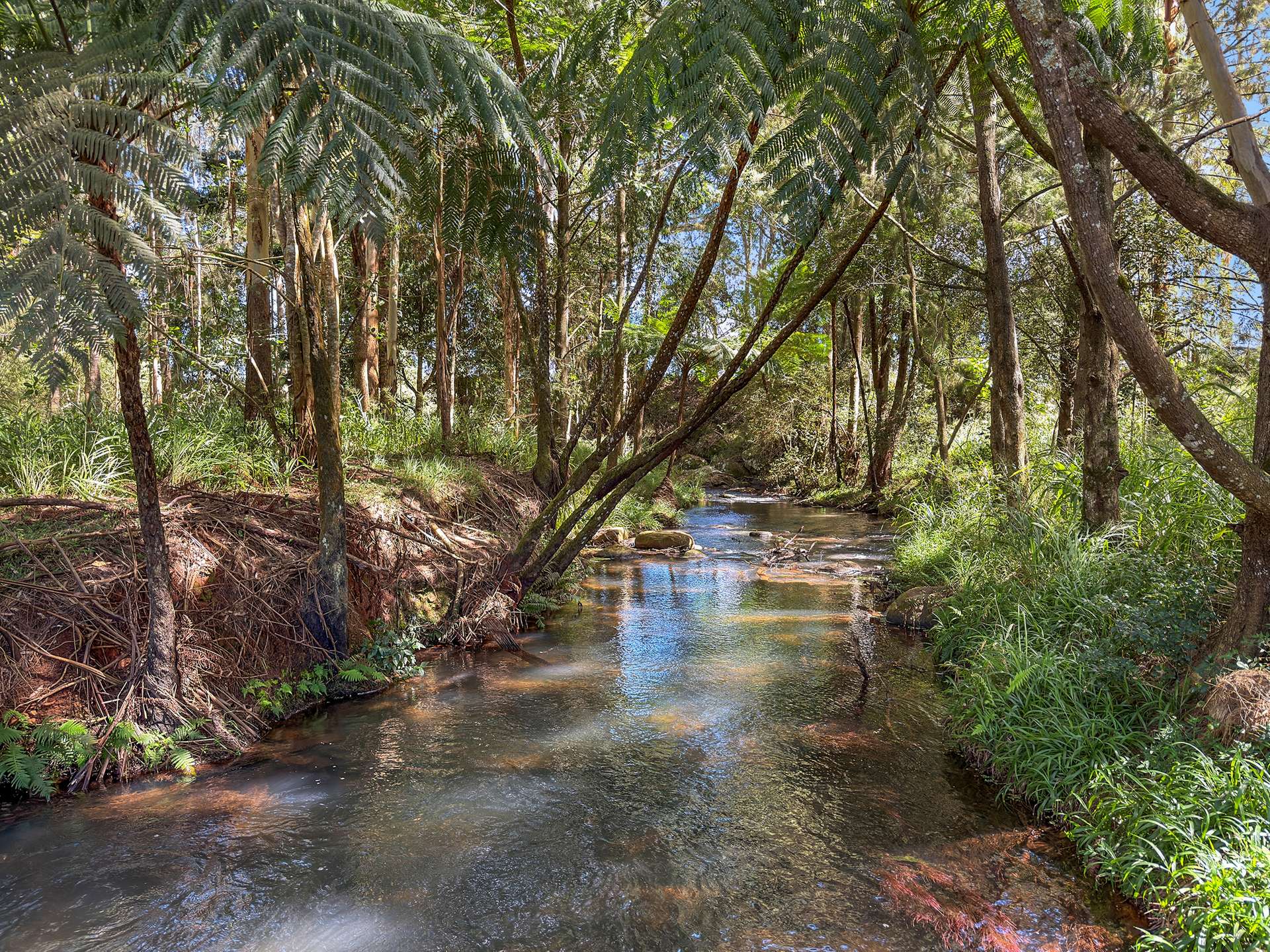 13123 Kennedy Highway, Ravenshoe For Sale by Farmbuy.com - image 34