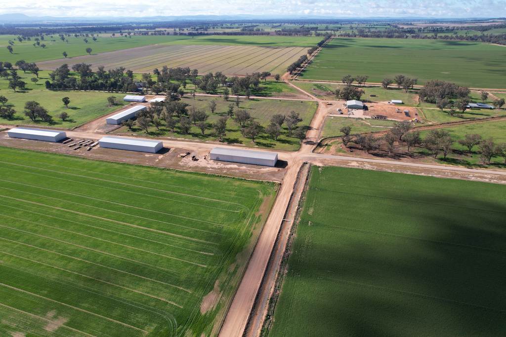 553 New Grenfell Road, Forbes NSW 2871