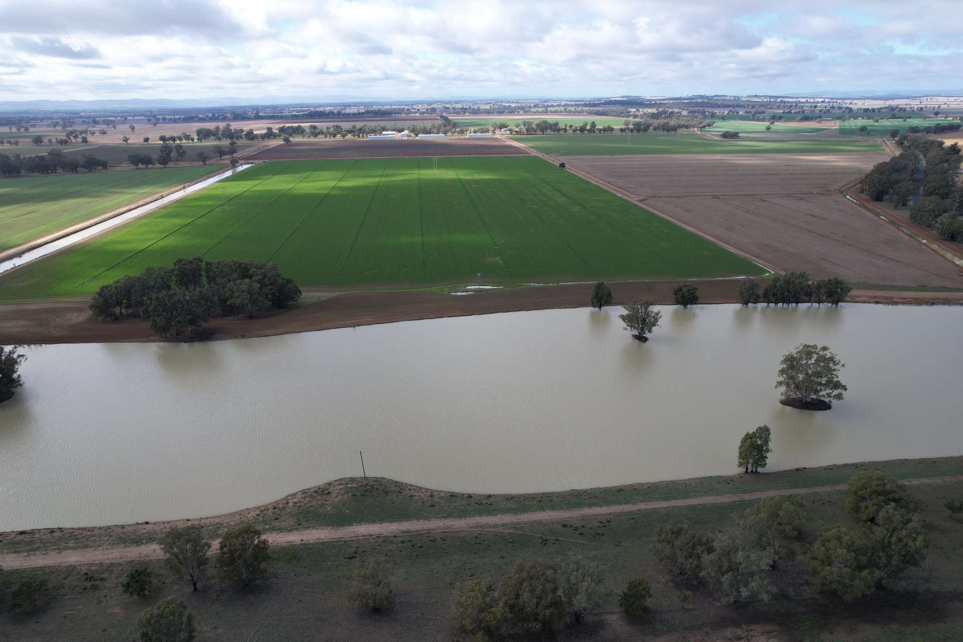 553 New Grenfell Road, Forbes For Sale by Farmbuy.com - image 7