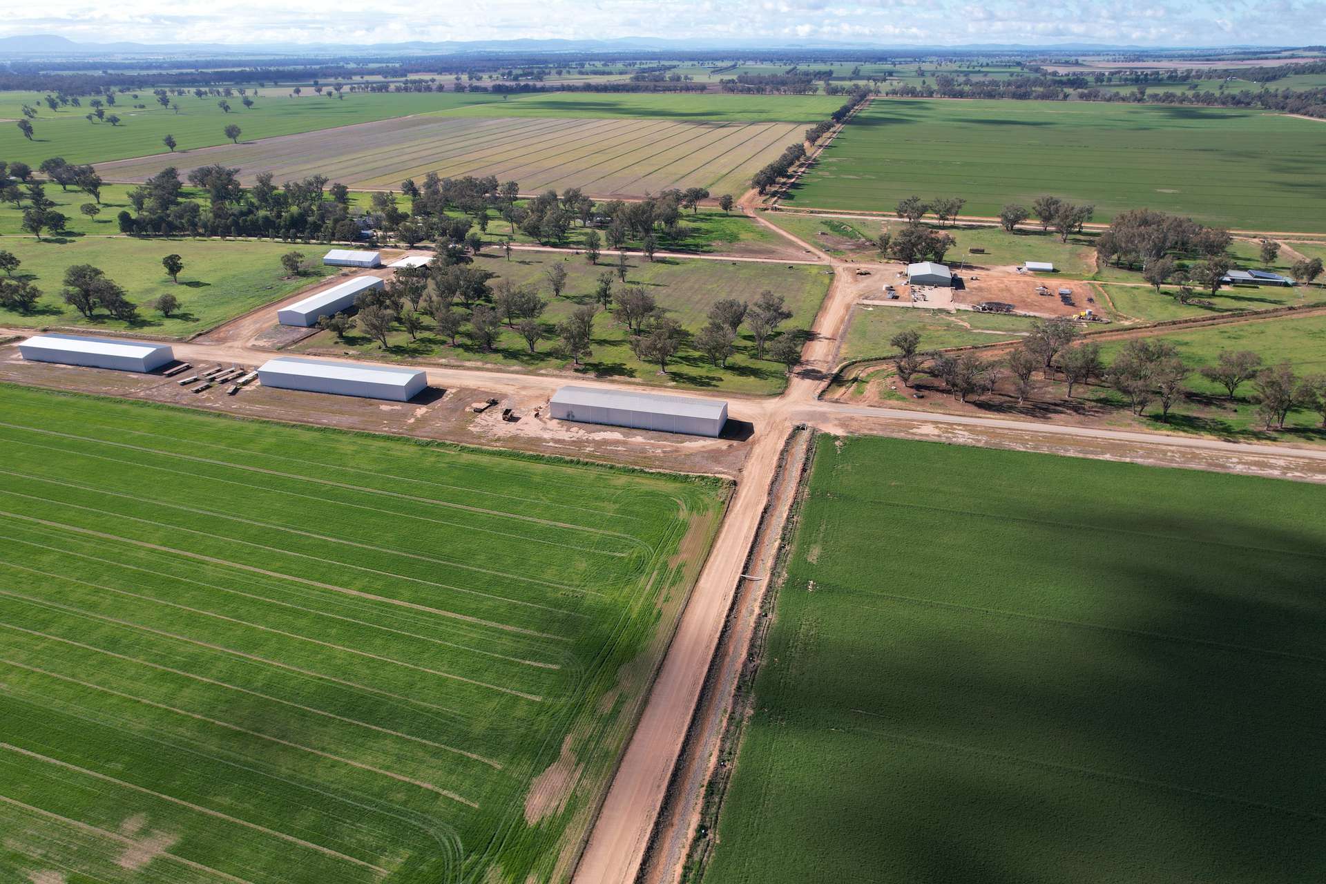 553 New Grenfell Road, Forbes For Sale by Farmbuy.com - image 1