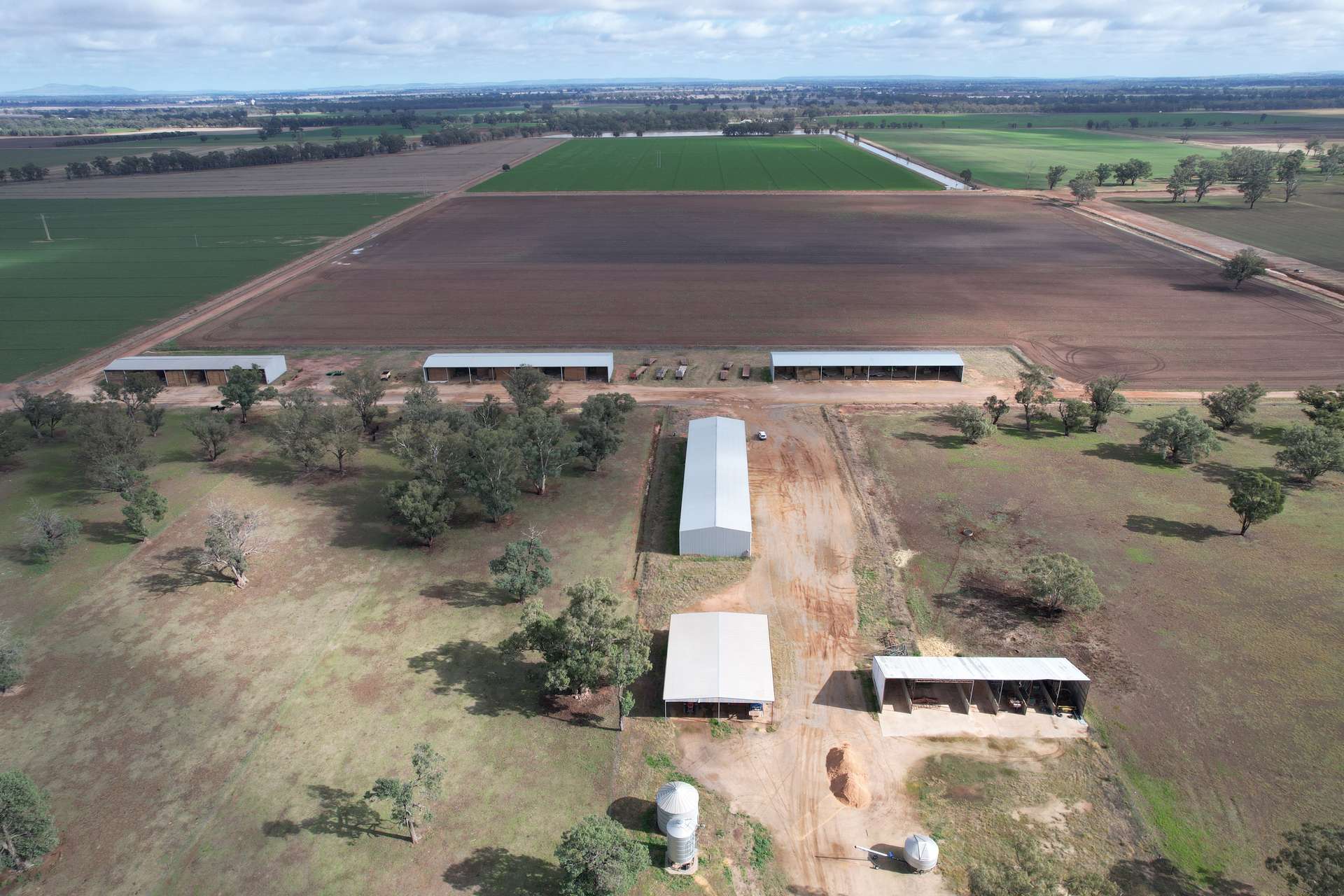 553 New Grenfell Road, Forbes For Sale by Farmbuy.com - image 18