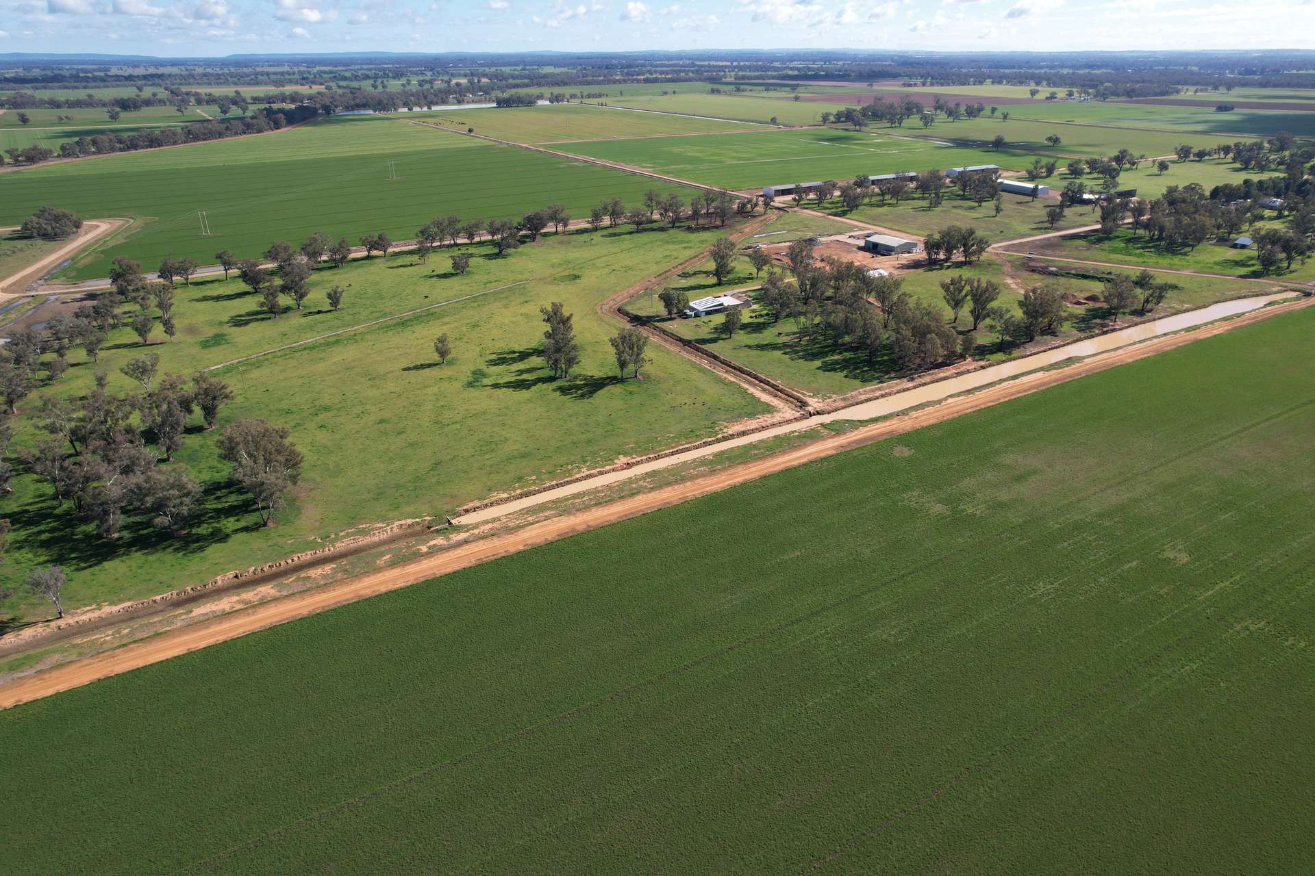 553 New Grenfell Road, Forbes For Sale by Farmbuy.com - image 3