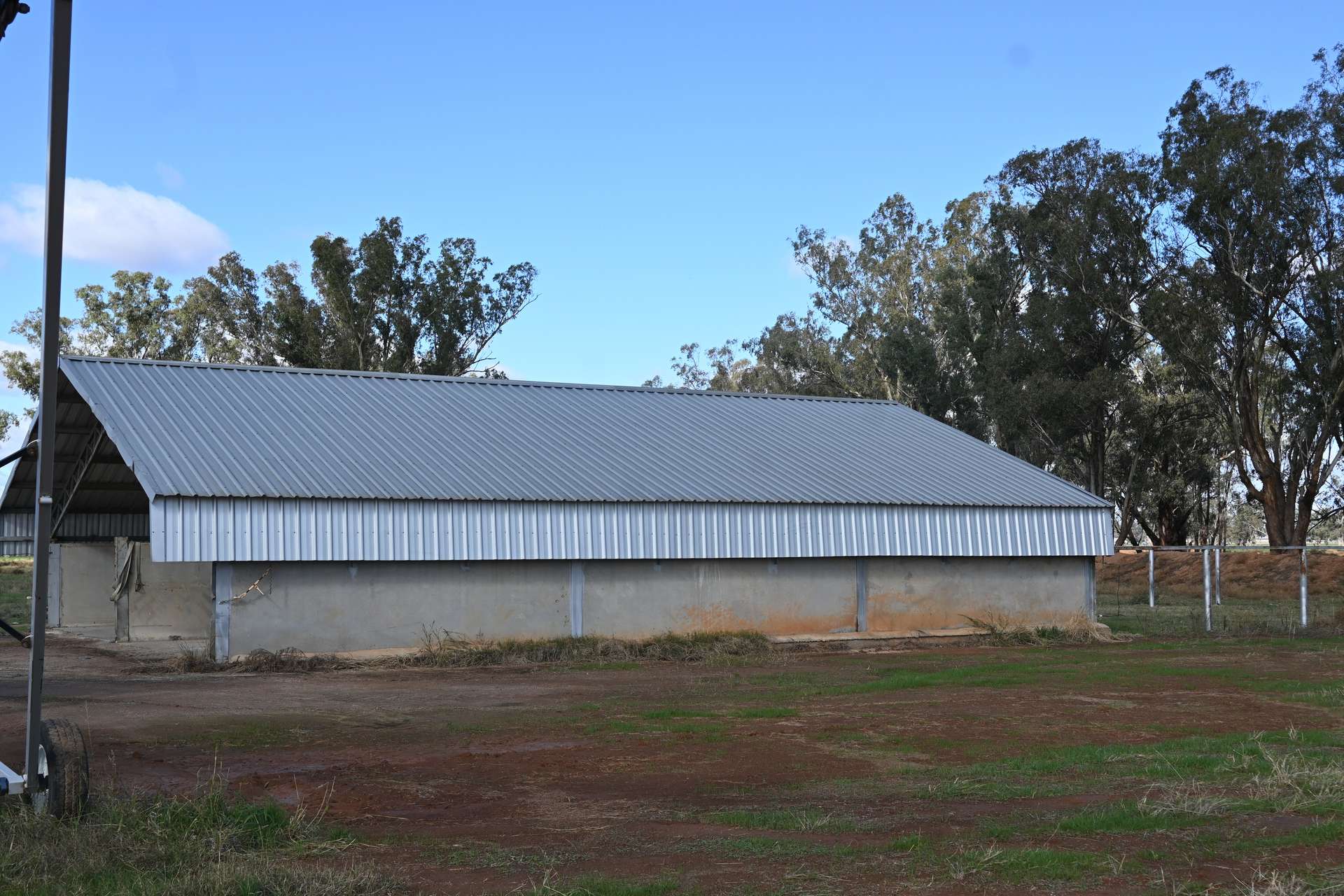 553 New Grenfell Road, Forbes For Sale by Farmbuy.com - image 19