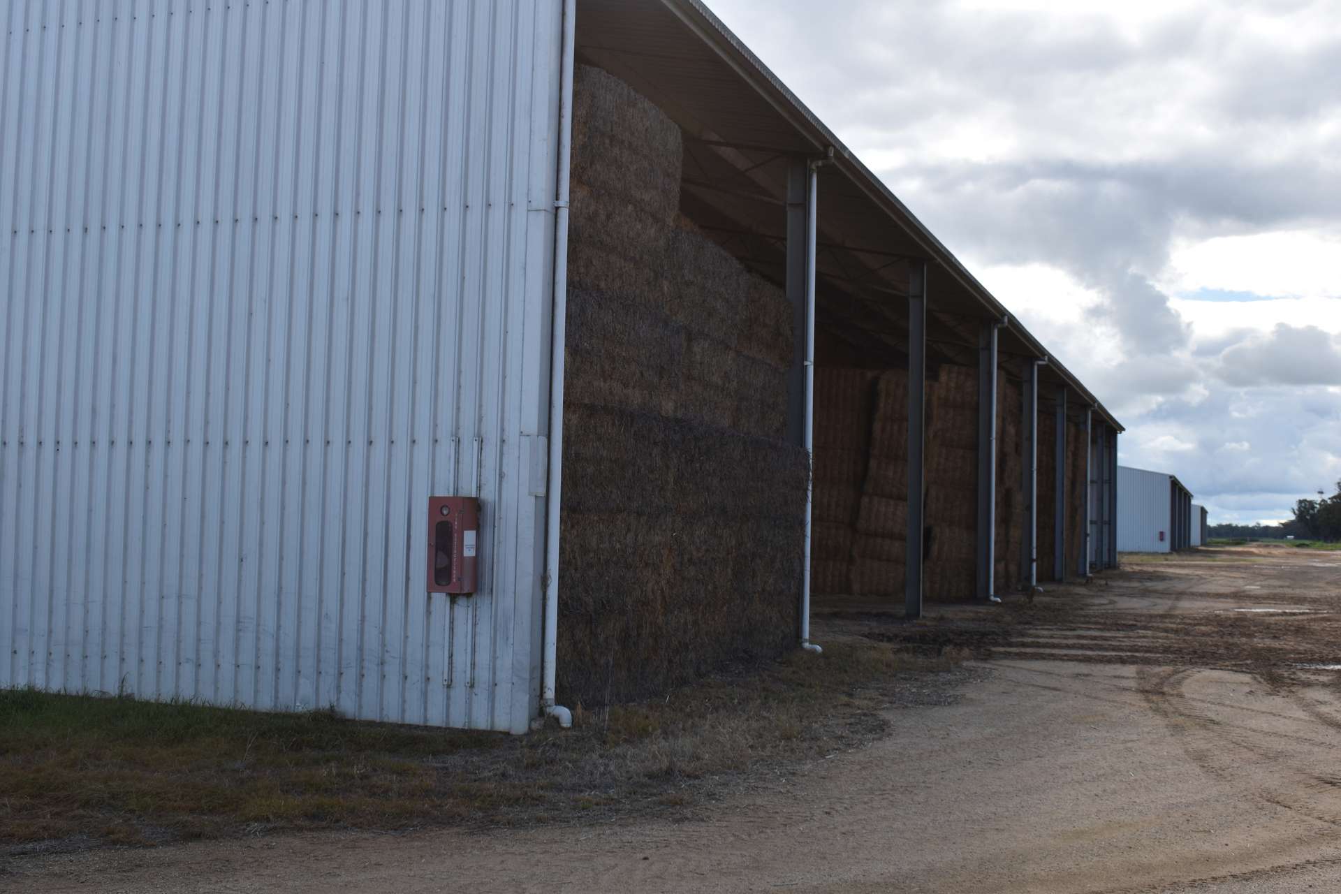 553 New Grenfell Road, Forbes For Sale by Farmbuy.com - image 20