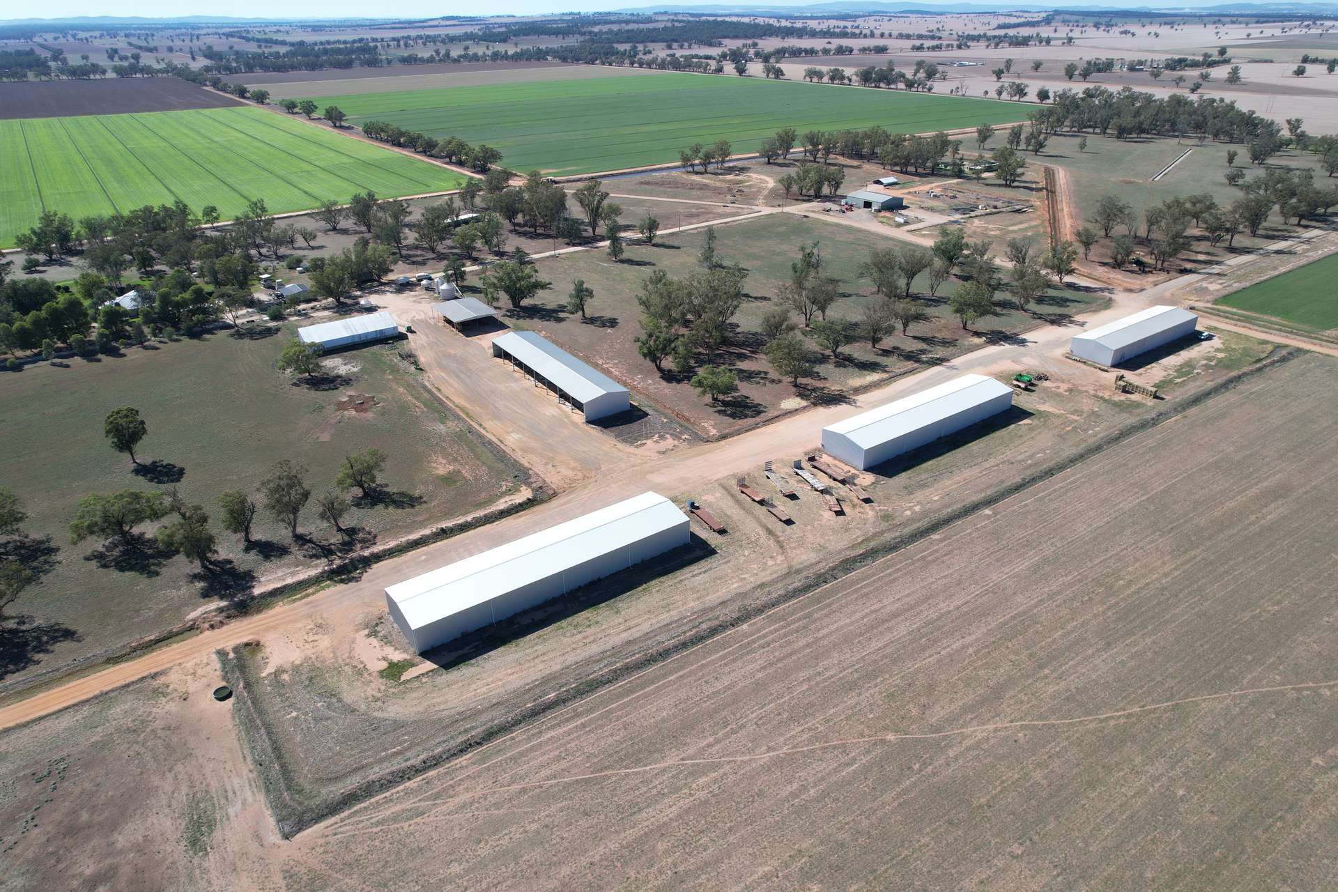 553 New Grenfell Road, Forbes For Sale by Farmbuy.com - image 5