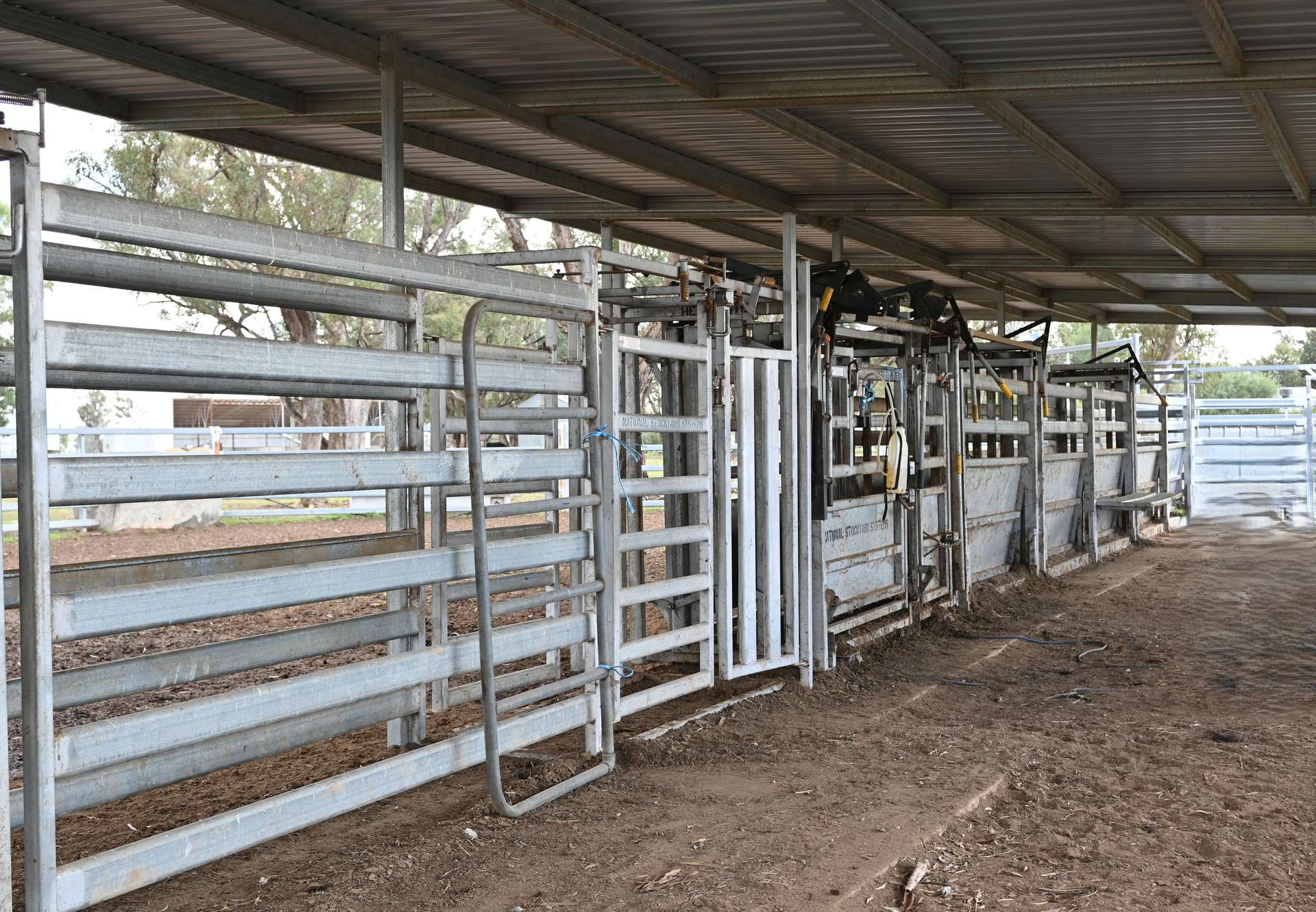 553 New Grenfell Road, Forbes For Sale by Farmbuy.com - image 26