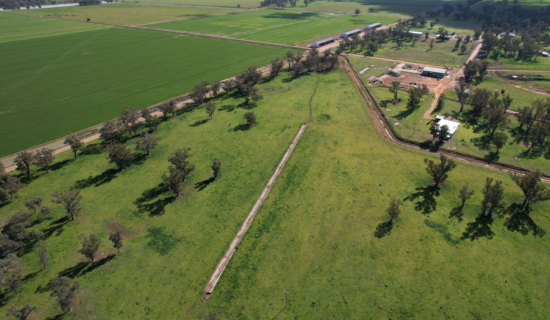 553 New Grenfell Road, Forbes For Sale by Farmbuy.com - image 2