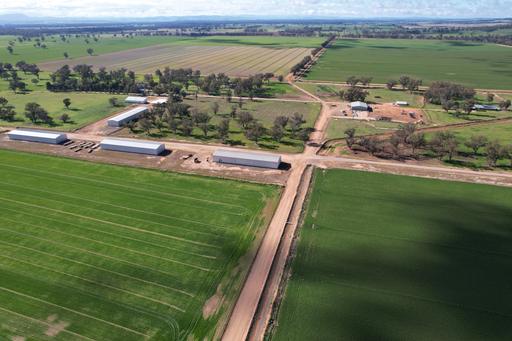 Farm For Sale - NSW - Forbes - 2871 - 