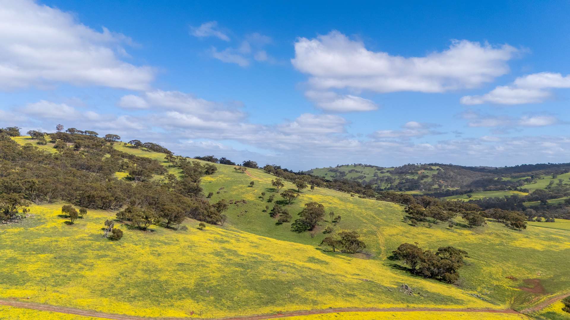 548 Folewood Road, Toodyay For Sale by Farmbuy.com - image 5