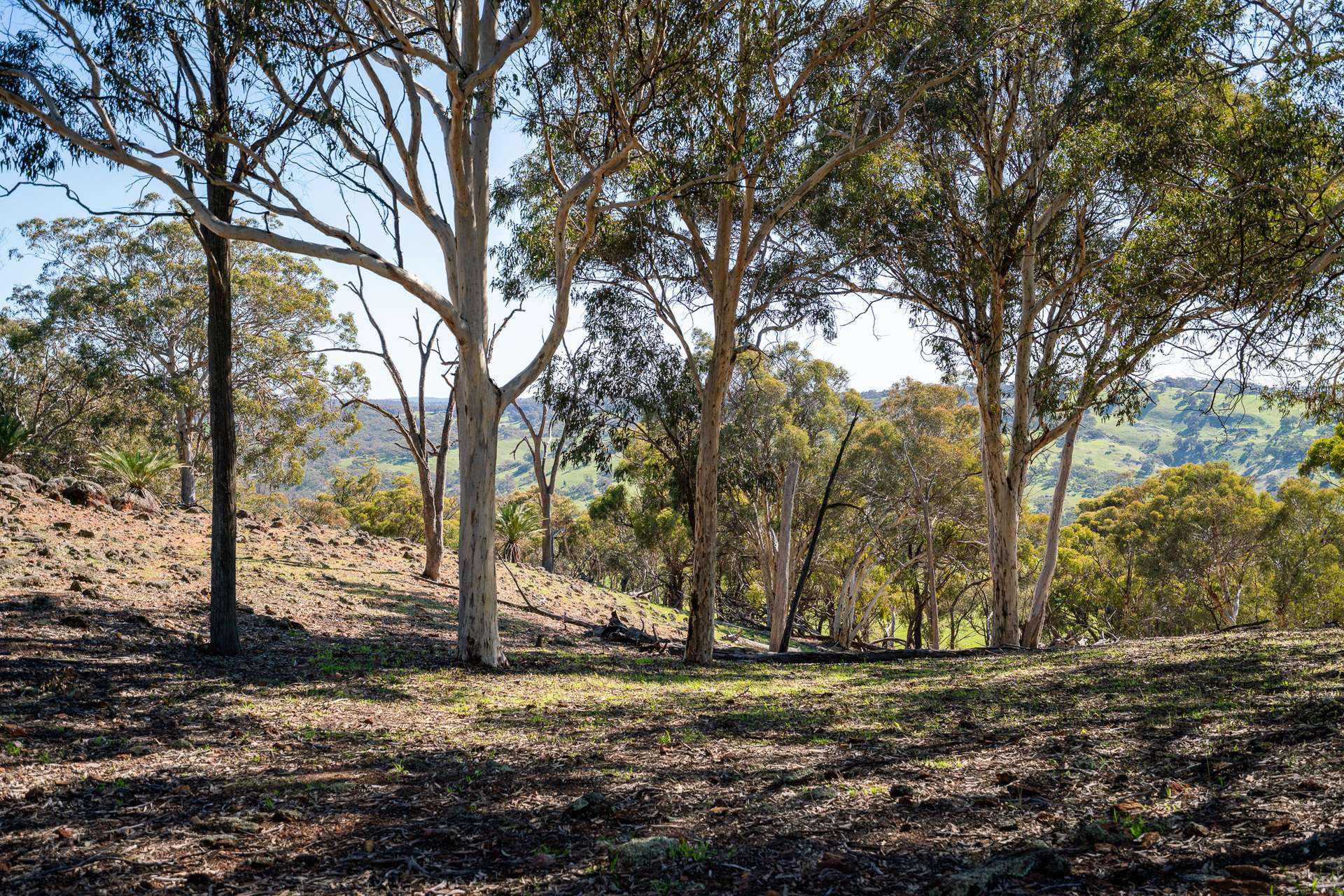 Toodyay For Sale by Farmbuy.com - image 17