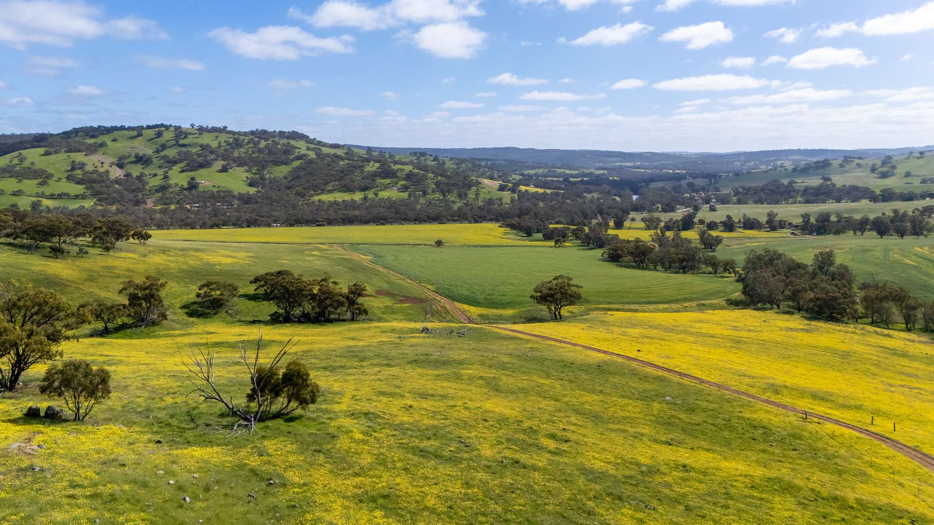 548 Folewood Road, Toodyay For Sale by Farmbuy.com - image 3