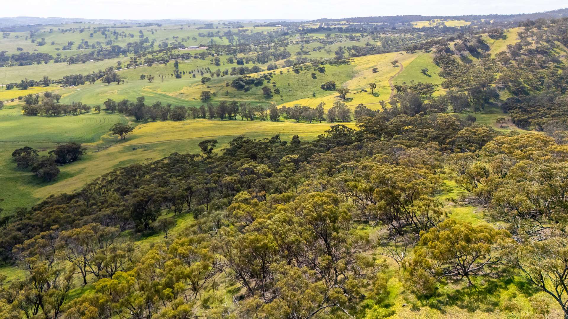 548 Folewood Road, Toodyay For Sale by Farmbuy.com - image 6
