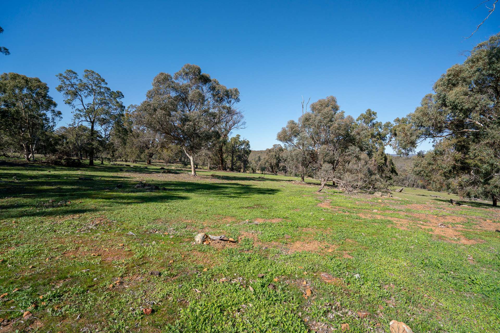 Toodyay For Sale by Farmbuy.com - image 18