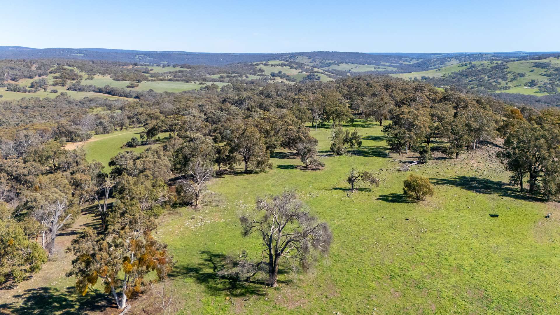 Toodyay For Sale by Farmbuy.com - image 19