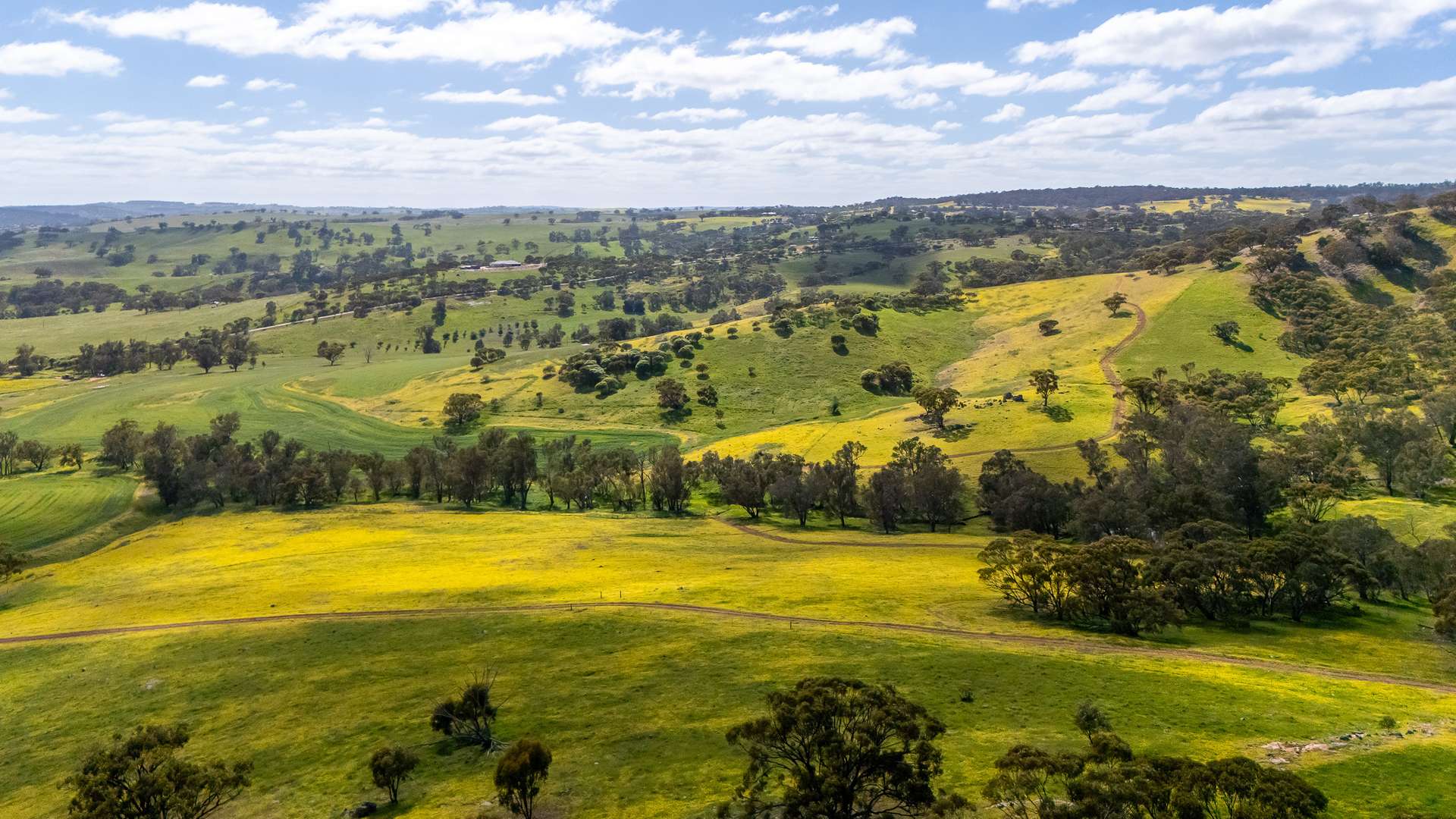 548 Folewood Road, Toodyay For Sale by Farmbuy.com - image 4