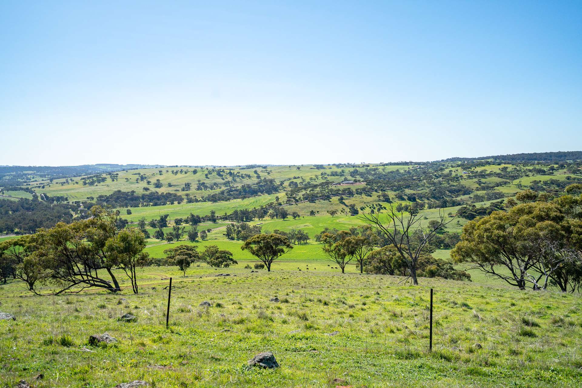 Toodyay For Sale by Farmbuy.com - image 9