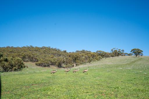 Toodyay WA 6566