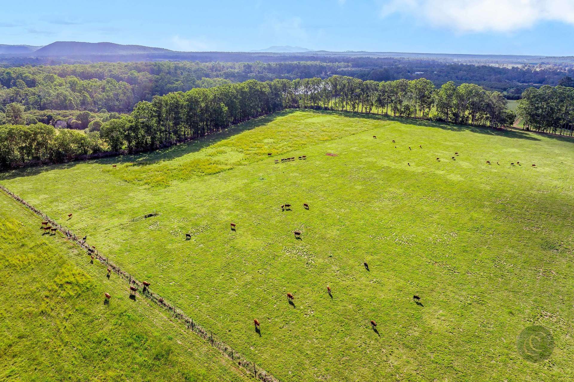 1460-1522 Anderleigh Road, Anderleigh For Sale by Farmbuy.com - image 21