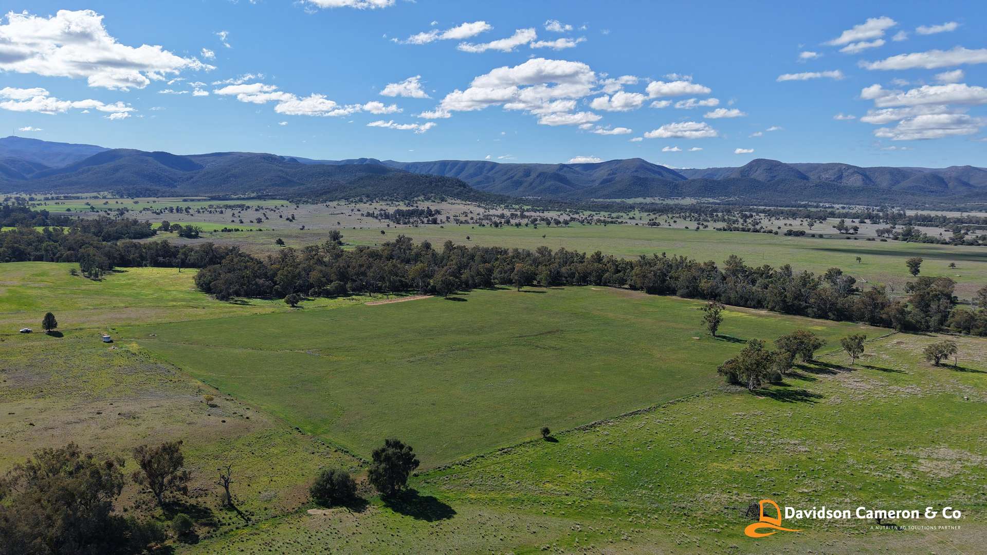 "Spring Flats" 1131 Timor Mountain Road, Maules Creek Auction by Farmbuy.com - image 4