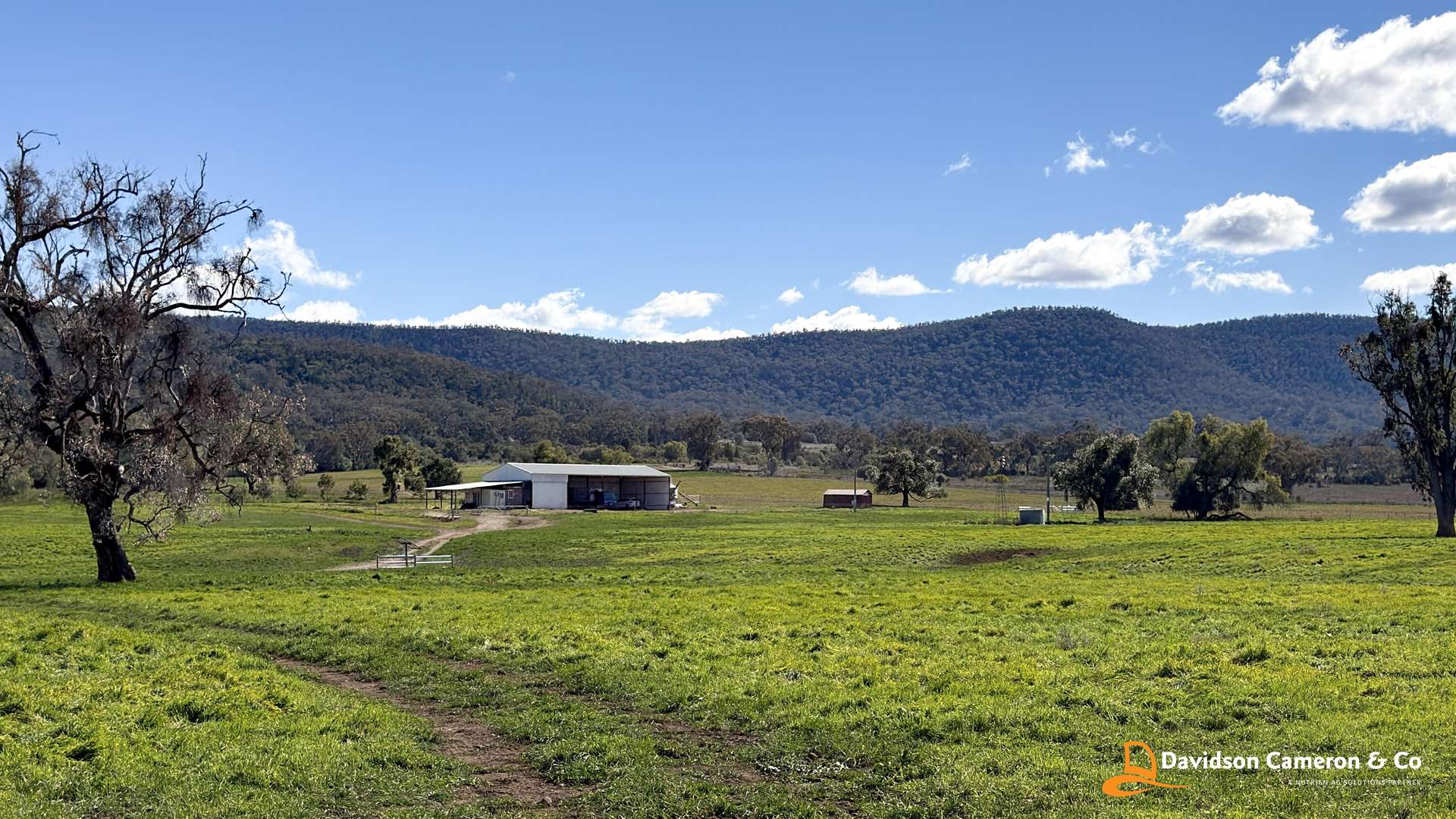 "Spring Flats" 1131 Timor Mountain Road, Maules Creek Auction by Farmbuy.com - image 1