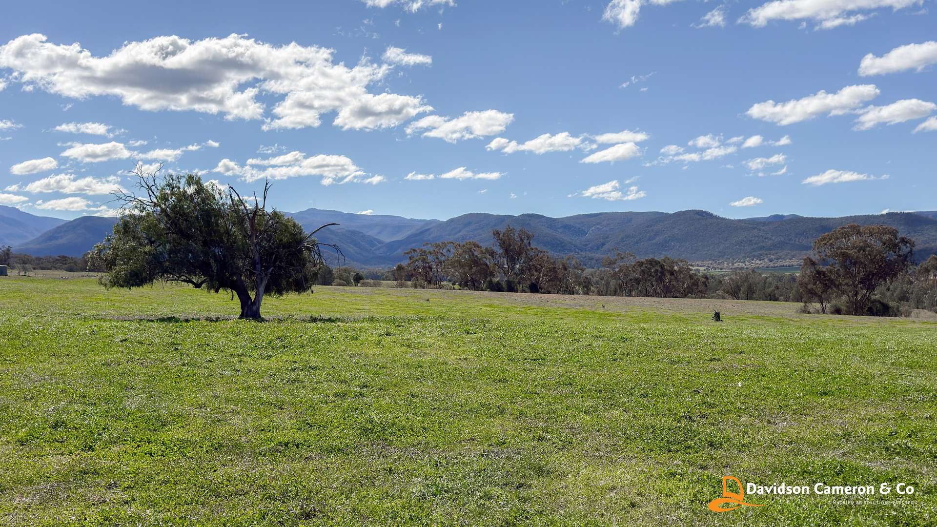 "Spring Flats" 1131 Timor Mountain Road, Maules Creek Auction by Farmbuy.com - image 6