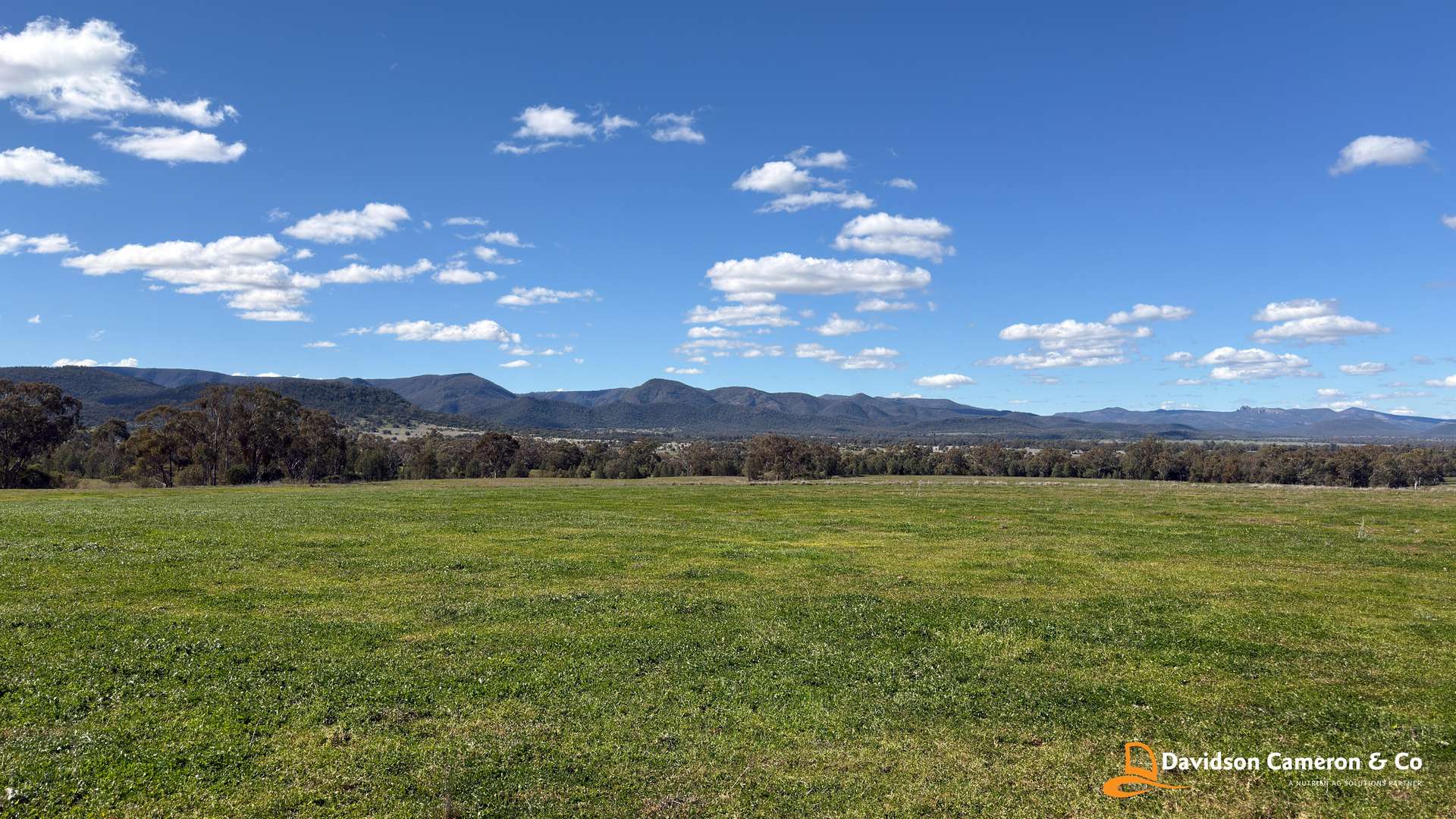 "Spring Flats" 1131 Timor Mountain Road, Maules Creek Auction by Farmbuy.com - image 5