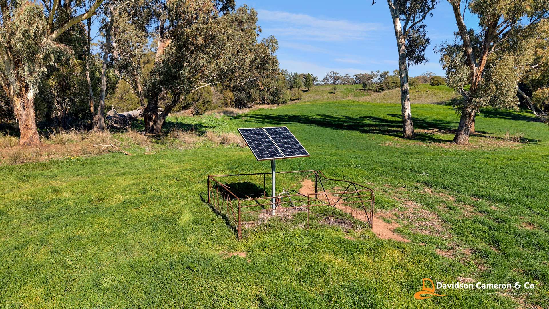 "Spring Flats" 1131 Timor Mountain Road, Maules Creek Auction by Farmbuy.com - image 15