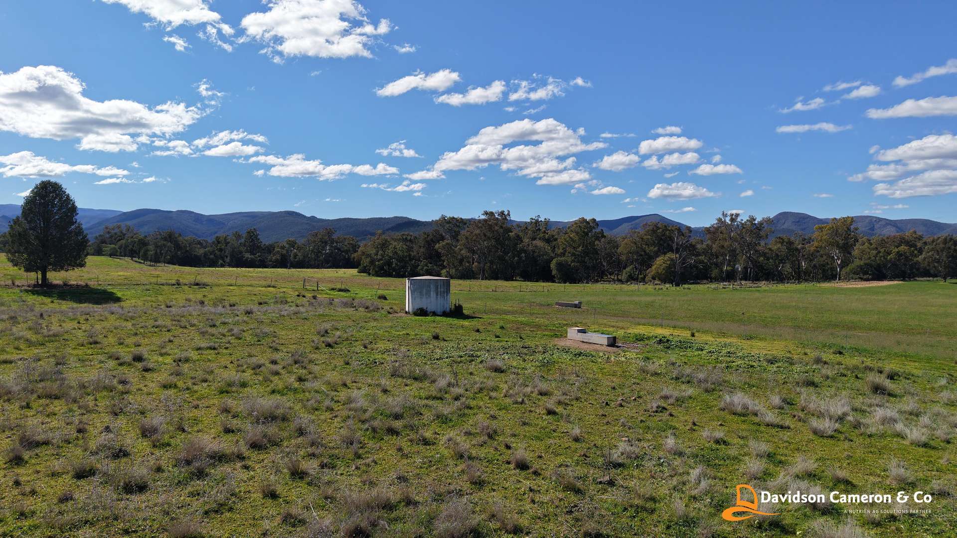 "Spring Flats" 1131 Timor Mountain Road, Maules Creek Auction by Farmbuy.com - image 17