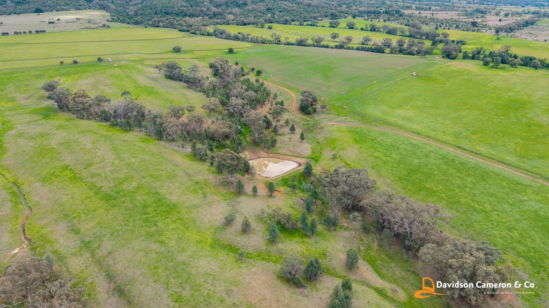 "Spring Flats" 1131 Timor Mountain Road, Maules Creek Auction by Farmbuy.com - image 3