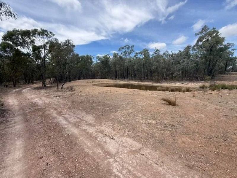 566 Waverley Lane, Silver Spur For Sale by Farmbuy.com - image 4