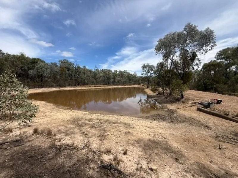 566 Waverley Lane, Silver Spur For Sale by Farmbuy.com - image 8
