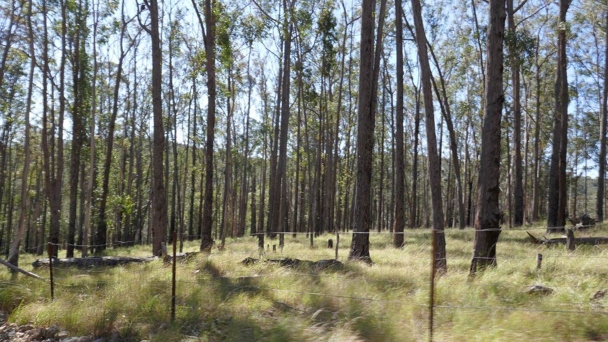 Lot 1 Mud Flat Road, Drake For Sale by Farmbuy.com - image 29
