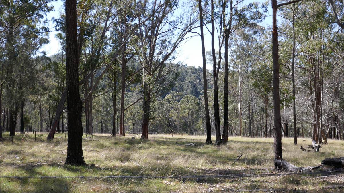 Lot 1 Mud Flat Road, Drake For Sale by Farmbuy.com - image 29