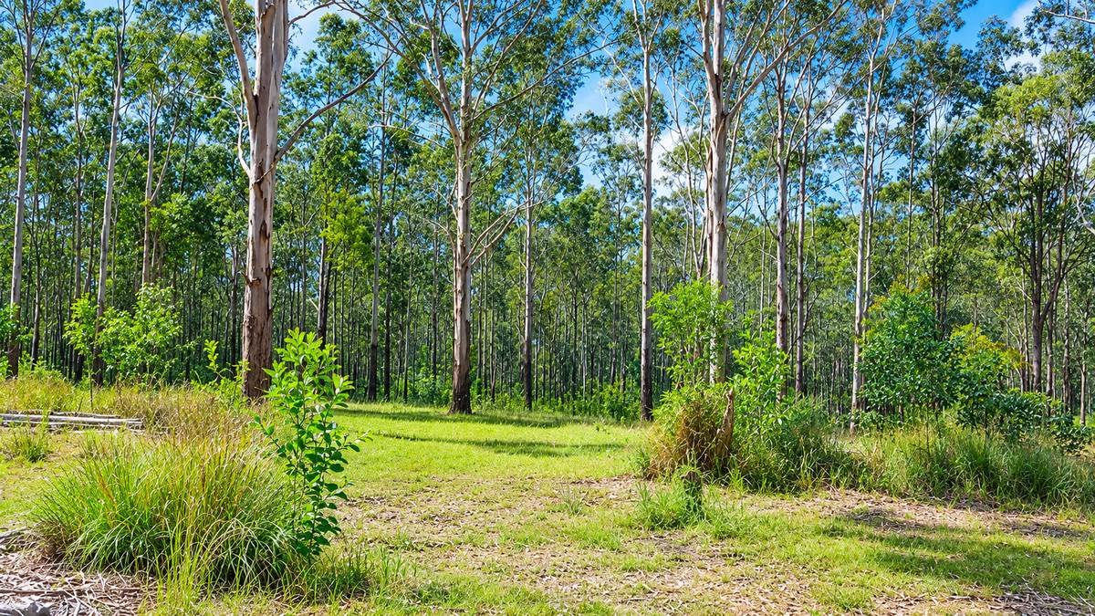 Lot 1 Mud Flat Road, Drake For Sale by Farmbuy.com - image 2