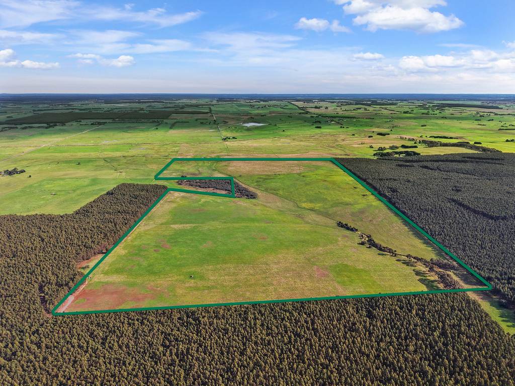 207 Hardys Road, Knebsworth VIC 3286