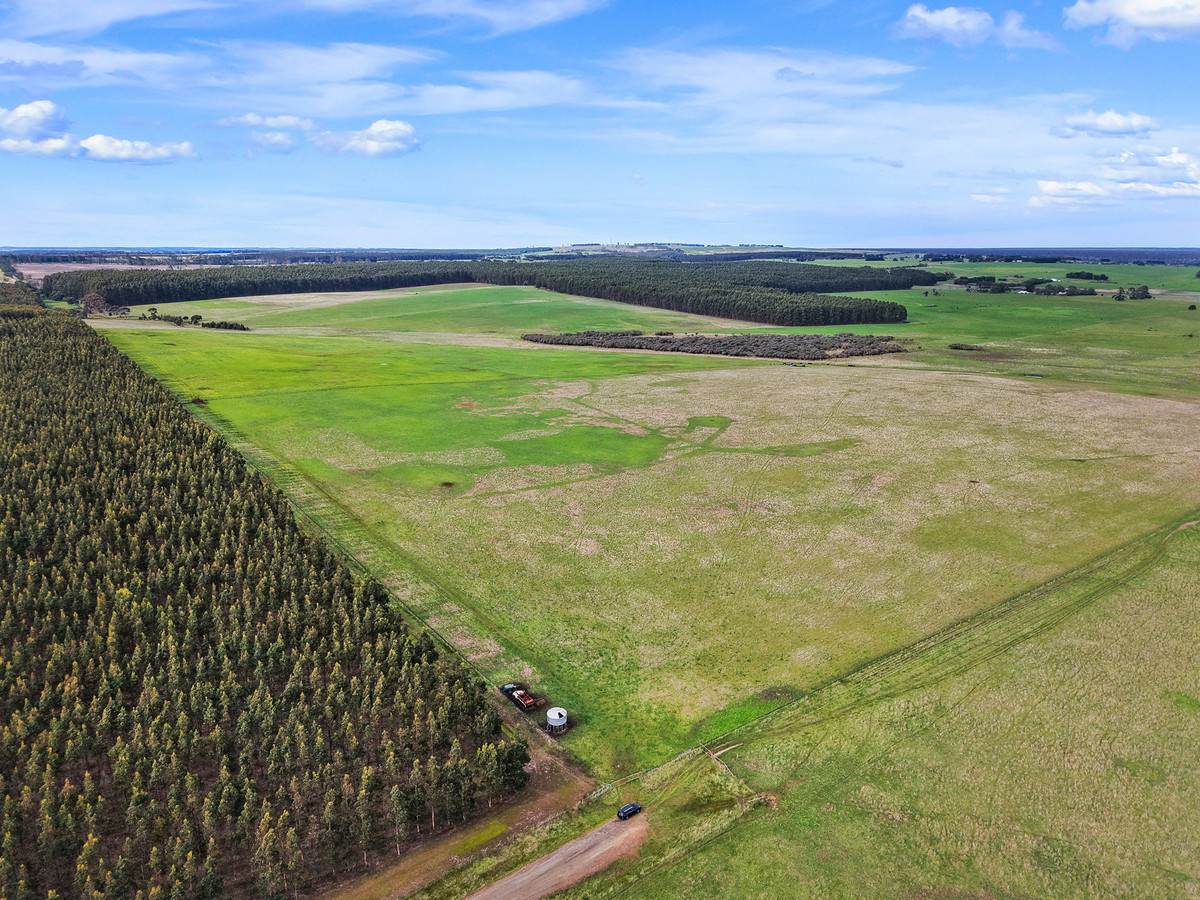 207 Hardys Road, Knebsworth Auction by Farmbuy.com - image 7