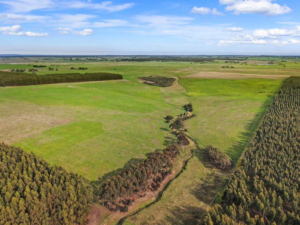207 Hardys Road, Knebsworth Auction by Farmbuy.com - image 3