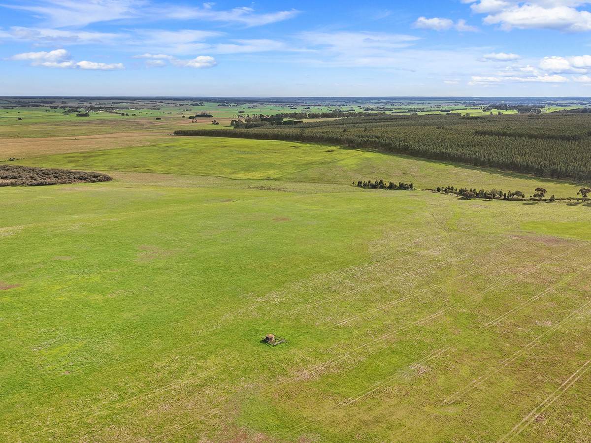 207 Hardys Road, Knebsworth Auction by Farmbuy.com - image 5