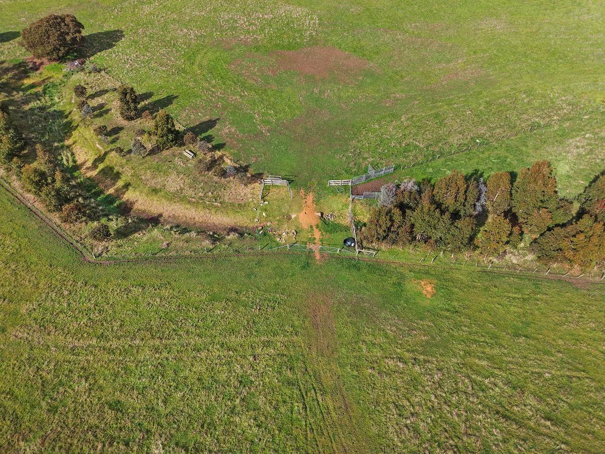 207 Hardys Road, Knebsworth Auction by Farmbuy.com - image 4