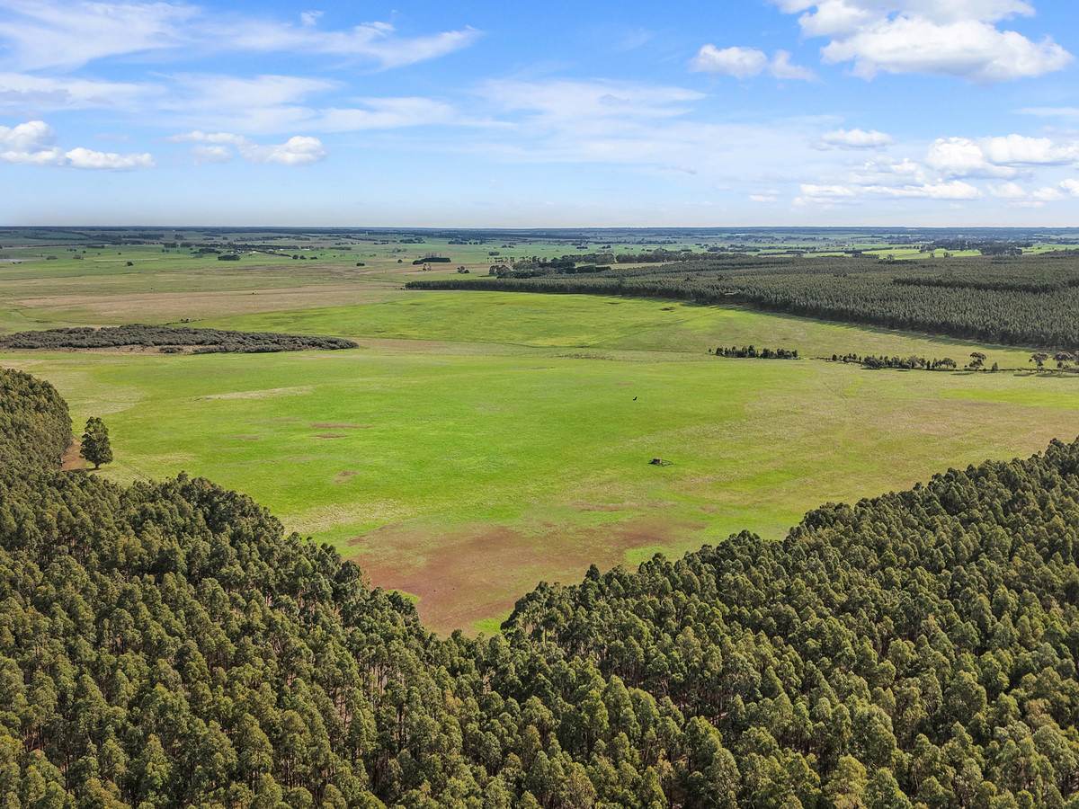 207 Hardys Road, Knebsworth Auction by Farmbuy.com - image 6