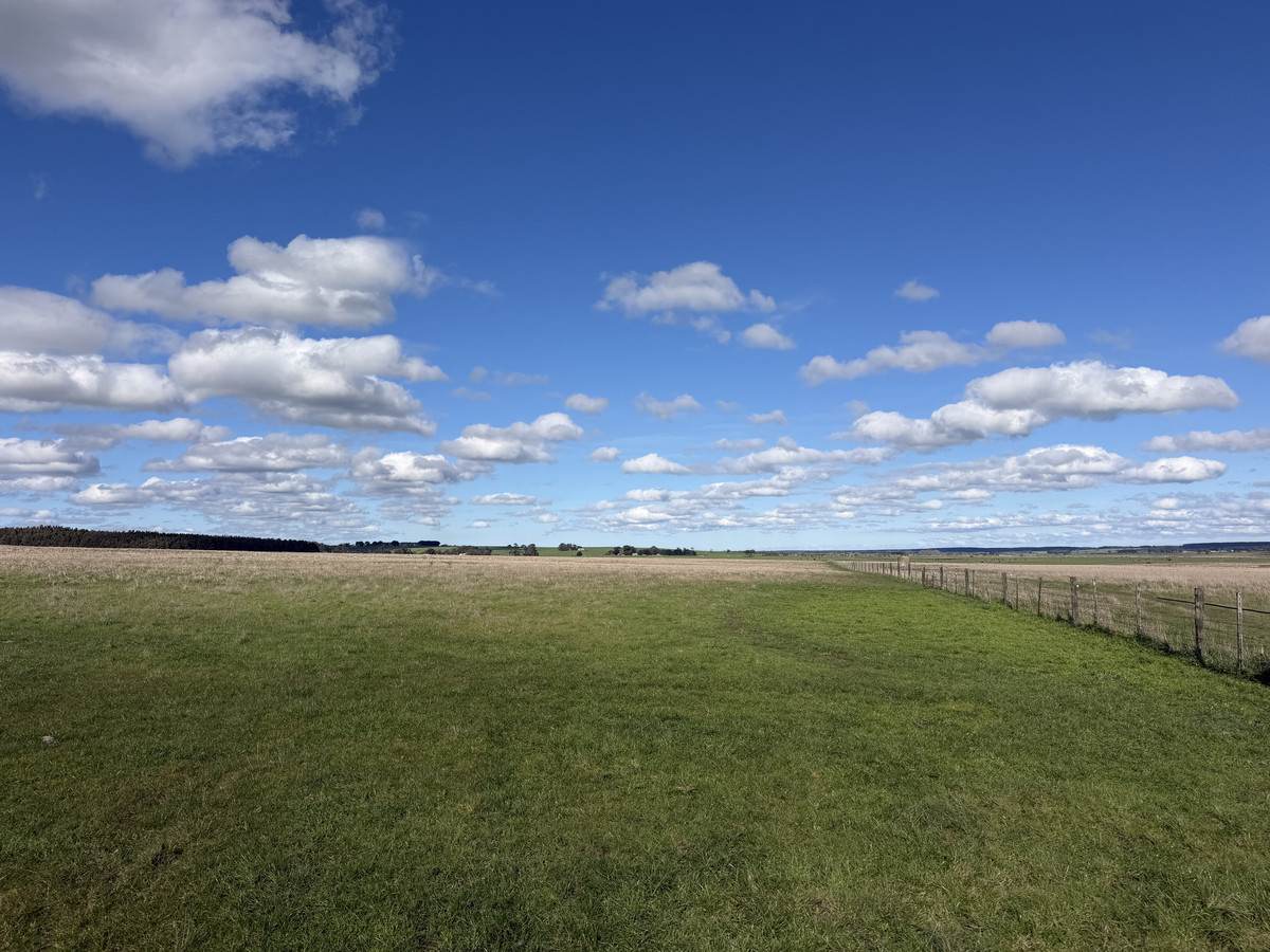 207 Hardys Road, Knebsworth Auction by Farmbuy.com - image 9