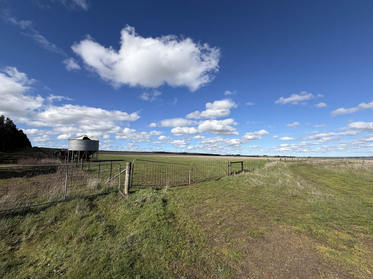 207 Hardys Road, Knebsworth Auction by Farmbuy.com - image 8