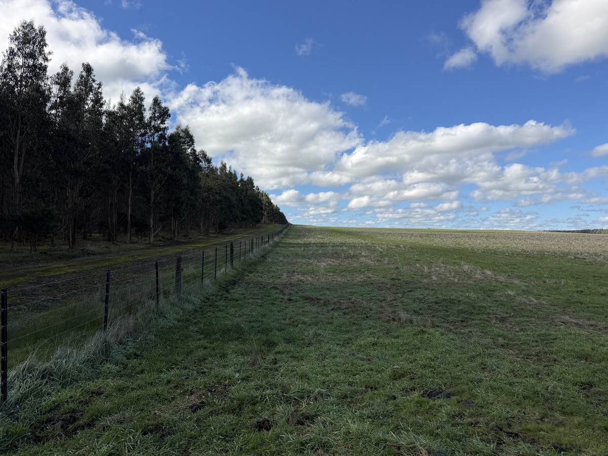 207 Hardys Road, Knebsworth Auction by Farmbuy.com - image 10
