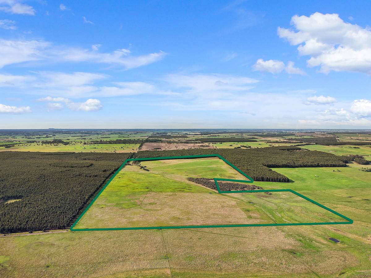 207 Hardys Road, Knebsworth Auction by Farmbuy.com - image 2