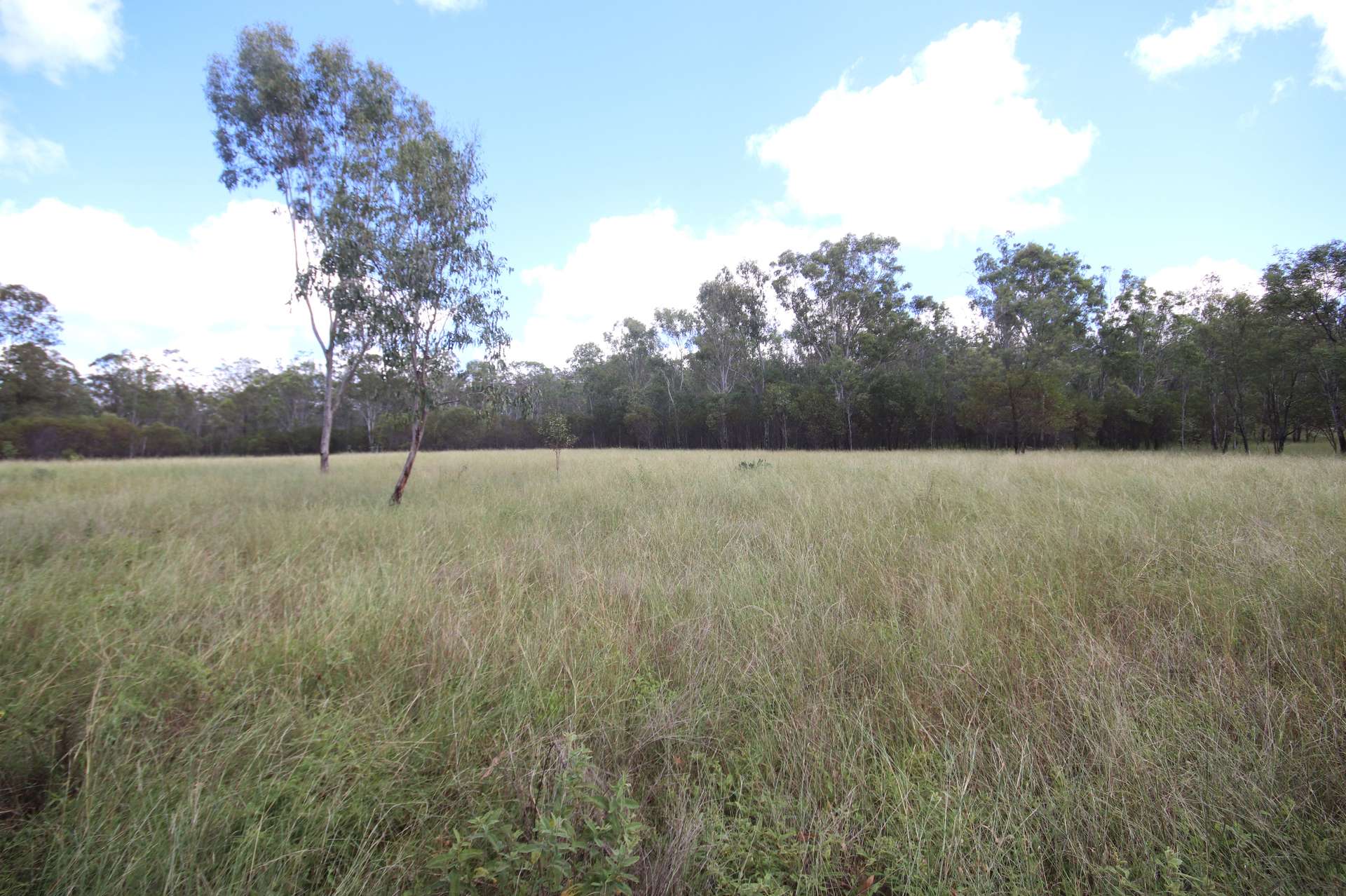 'Greentree' Mundubbera-Durong Rd, Mundubbera Sold by Farmbuy.com - image 5