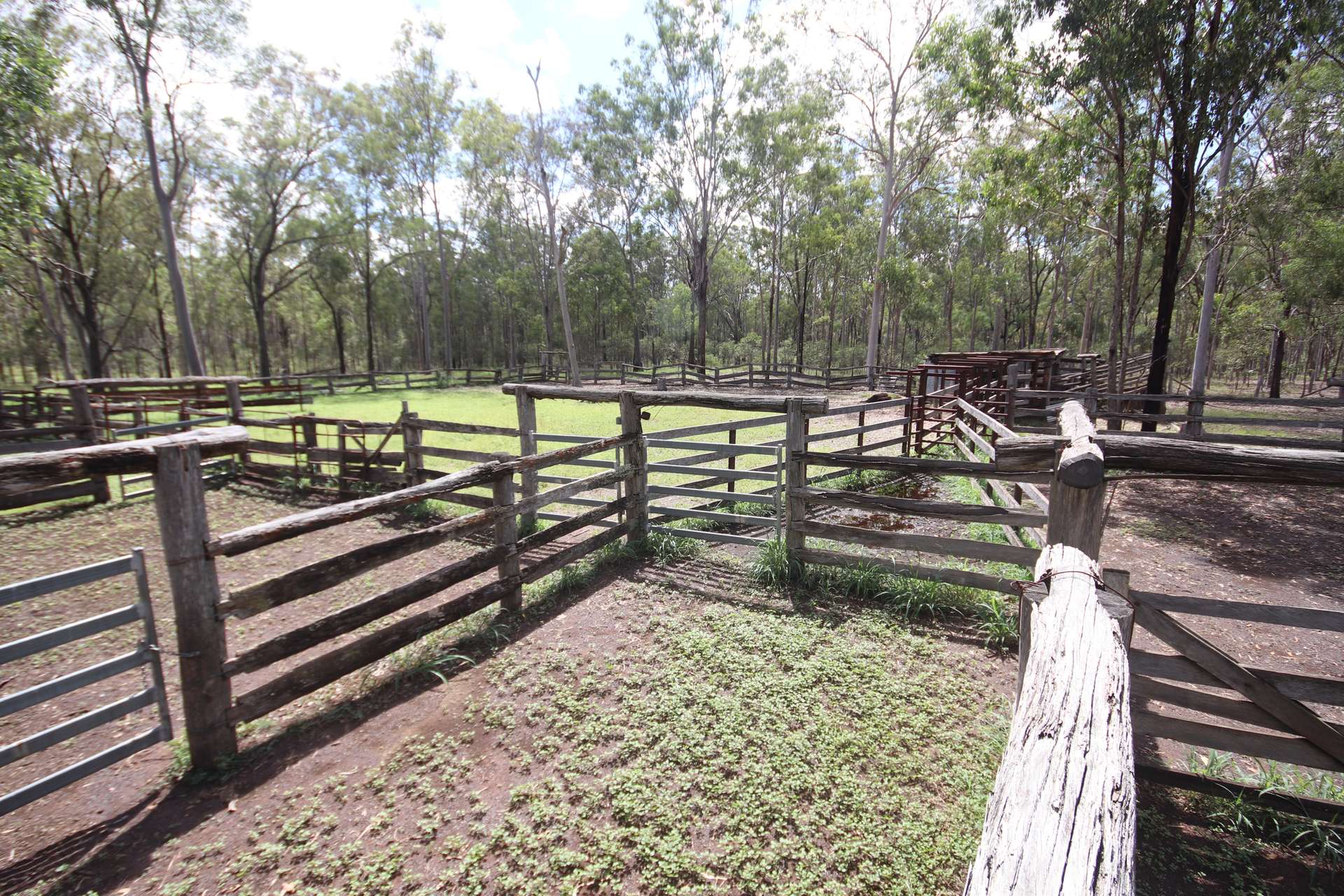 'Greentree' Mundubbera-Durong Rd, Mundubbera Sold by Farmbuy.com - image 1